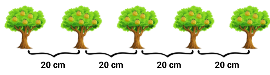 Toán có lời văn lớp 1
